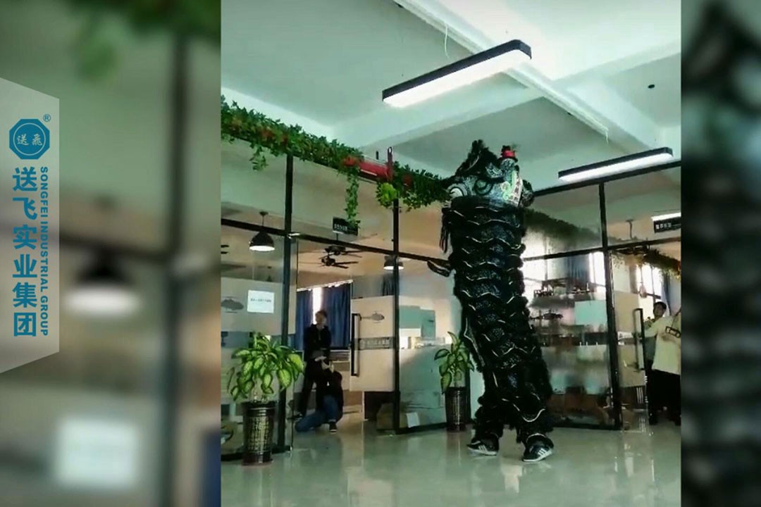 送飛實業(yè)集團：正月十五，舞獅鬧元宵 2019